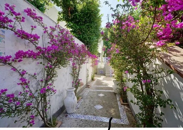 Maison d'hôtes Casa Sofia