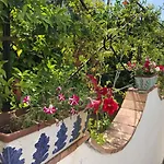 Casa Sofia Guest house