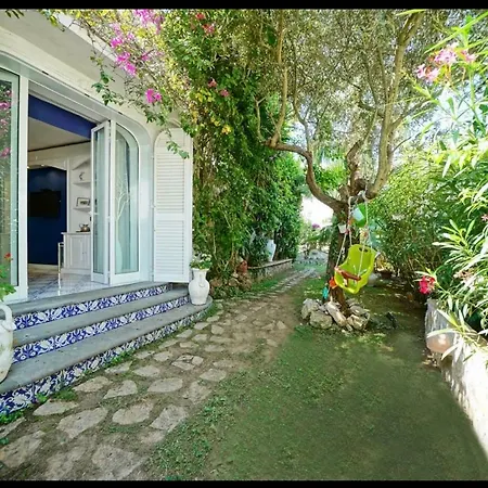 Casa Sofia 招待所