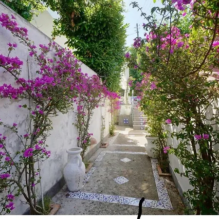 بيت ضيافة Casa Sofia
