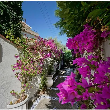 بيت ضيافة Casa Sofia أناكابْري