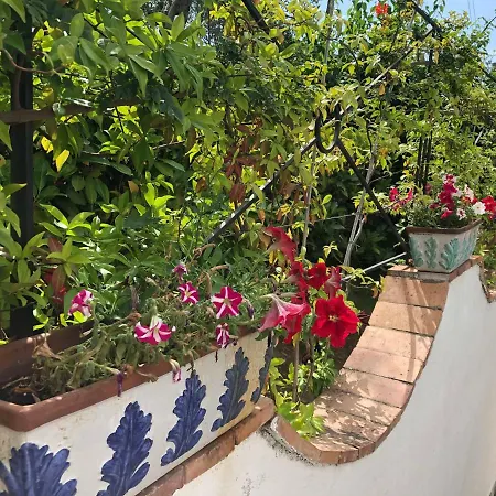 Casa Sofia Affittacamere