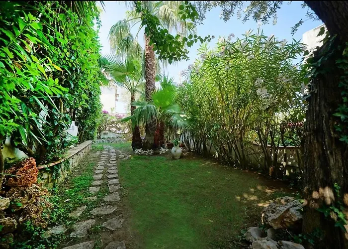 Casa Sofia Affittacamere Anacapri (Isola di Capri)