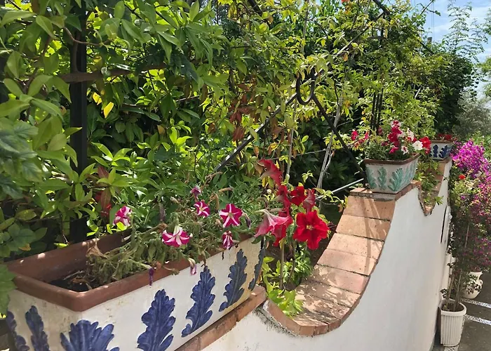 Casa Sofia Affittacamere